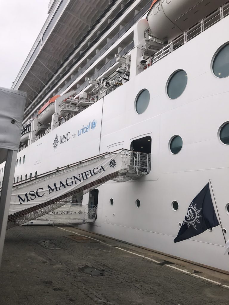 Navio MSC Magnífica Cruzeiro Organizado