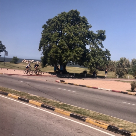 Montevidéu Cruzeiro Organizado